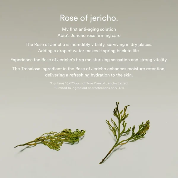 abib-jericho-rose-collagen-pad-firming-touch-60pcs-pic-9