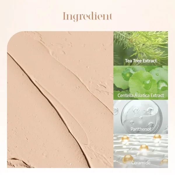 dasique-pro-concealer-palette-9g-pic-4
