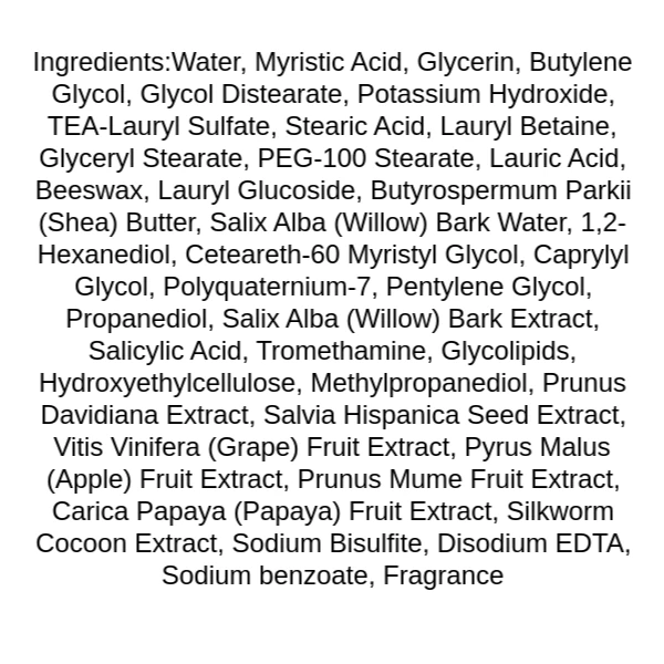 be-the-skin-bha-pore-zero-cleansing-foam-ingredients