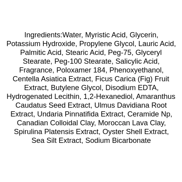 celimax-ji-woo-gae-baking-soda-deep-pore-foam-cleansing-ingredients