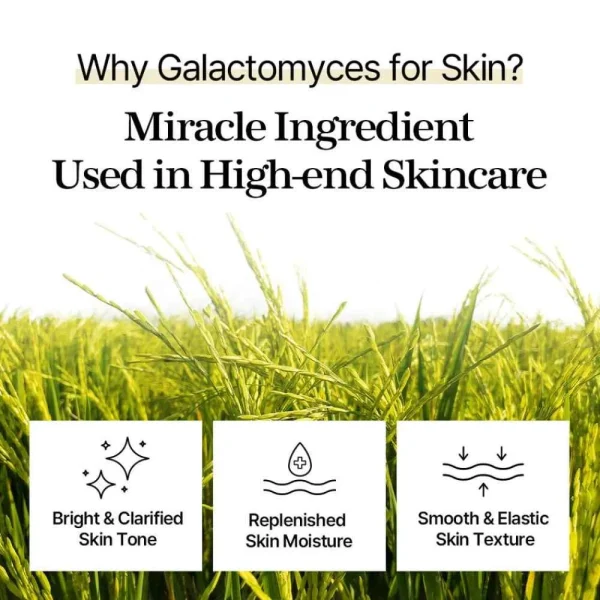 mixsoon-galactomyces-toner-pad-60pads-pic-6