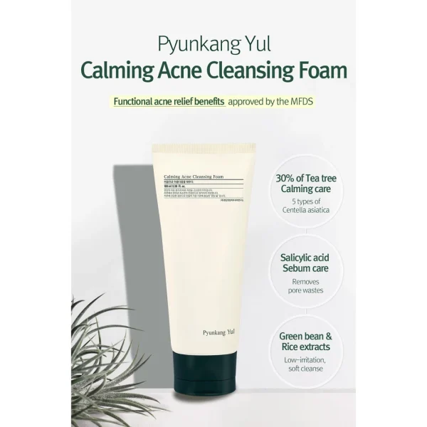 pyunkang-yul-calming-acne-cleansing-foam-100ml-pic-4