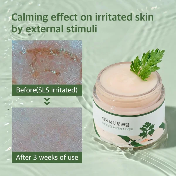 round-lab-mugwort-calming-cream-80ml-pic-7
