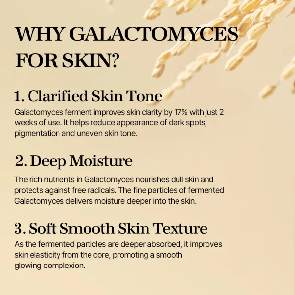mixsoon-galactomyces-ferment-essence-30ml-pic-2