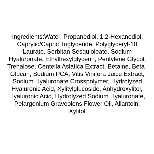 isntree-hyaluronic-acid-water-mist-ingredients