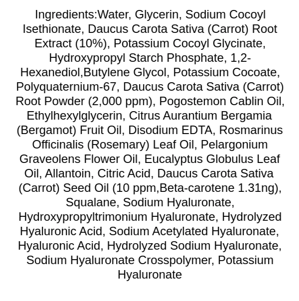 skinfood-carrot-carotene-balancing-cleansing-foam-ingredients
