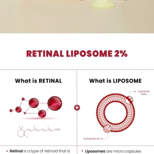 ksecret-seoul-1988-serum-retinal-liposome-2percent-black-ginseng-mini-10ml-pic-4